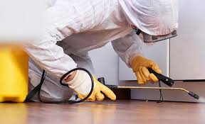 Real Estate Pest Inspections in West Hattiesburg, MS